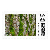 Pine Tree Bark With Moss – Large stamps