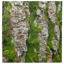 Pine Tree Bark With Moss napkins