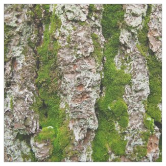 Pine Tree Bark With Moss Photo Fabric