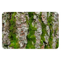 Pine Tree Bark With Moss magnets