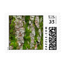 Pine Tree Bark With Moss – Small stamps
