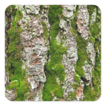 Pine Tree Bark With Moss stickers