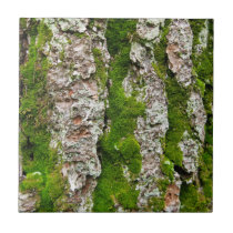 Pine Tree Bark With Moss tiles