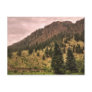 pine tree beauty postcard