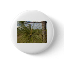 Pine Tree buttons