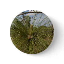 Pine Tree buttons