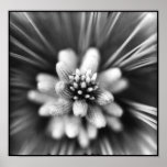 Pine tree flower posters
