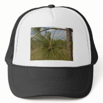 Pine Tree hats