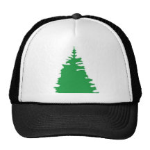 pine_tree_hat-r54a7e14c55594c19b19ddd04b7ad445a_v9wfy_8byvr_216.jpg