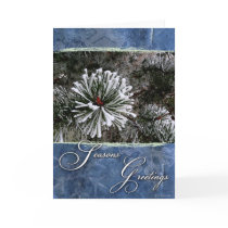 Pine tree in snow-Season's Greetings cards by William63 Pine tree in snow-Season's Greetings cards