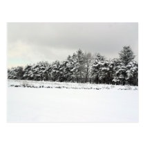 PINE TREE INFINITE LINE IN WINTER postcards