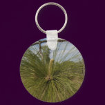 Pine Tree