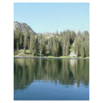 pine tree mirror on lake flyers