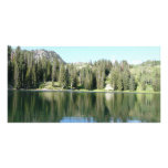 pine tree mirror on lake photo card template