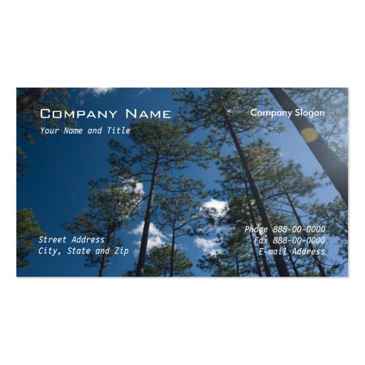 Pine Trees Business Card (front side)
