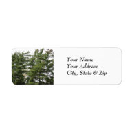 Pine Trees Custom Return Address Label