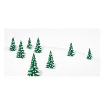 pine trees in snow photo cards