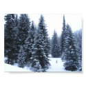 Pine Trees in Winter posters