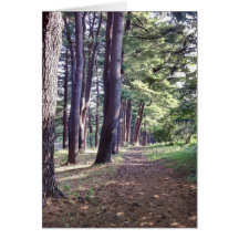 Pine Trees Note Card