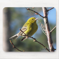 Pine Warbler Mousepad