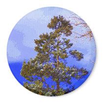 Pine with Pixelated Sky magnet