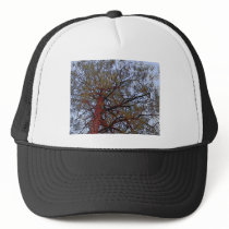 Pine with Red Trunk (detail) Trucker Hat