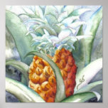 Pineapple by JR posters