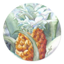 Pineapple by JR stickers