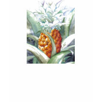 Pineapple by JR t-shirts by Makana101 Pineapple by JR t-shirts