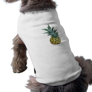 Pineapple Design, real photograph of homegrown petshirt