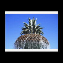 Pineapple Designs postcards
