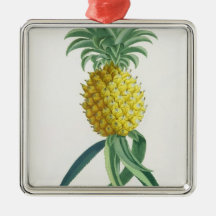 Pineapple engraved by Johann Jakob Haid (1704-67) Ornament