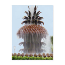 Pineapple Fountain Post Cards