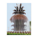 Pineapple Fountain postcards