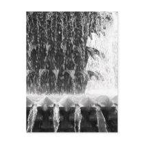 Pineapple Fountain postcards