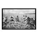 Pineapple Harvest Hawaii 1917 posters by lc_vintagephotos Pineapple Harvest Hawaii 1917 posters