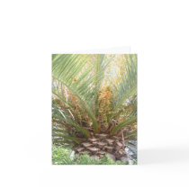Pineapple Palm Notecard