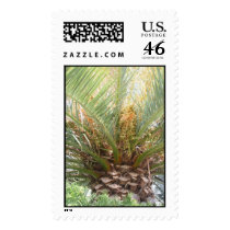 pineapple palm stamp