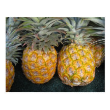 Pineapple Paradise Postcards