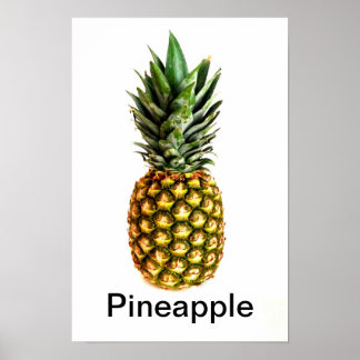 Memory Bank Pineapple_poster-r35d590e8567e4da9baddc282d86b78c2_ero_8byvr_324