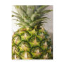 Pineapple Pretty Post Cards