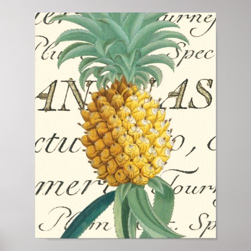 Pineapple with calligraphic detail print