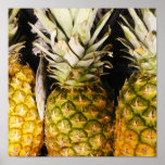 Pineapple x Three posters