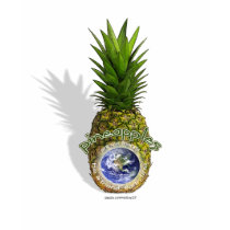 pineapples are our friend t-shirts