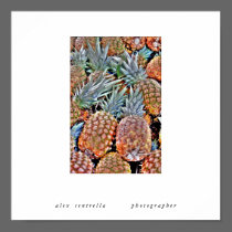 Pineapples    ... posters