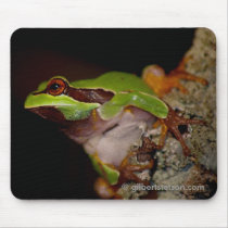 pinebarrentf13,  gilbertstetson.com mouse pad