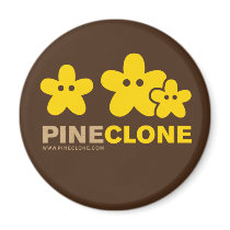 PINECLONE SKYLIGHTS magnet by avipaulweinstein PINECLONE SKYLIGHTS magnet