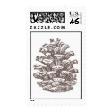 pinecone116 postage