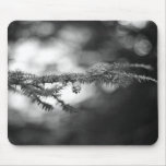 Pinecone in Winter Mousepad mousepads