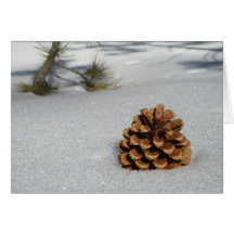 Pinecone on the Snow Notecard